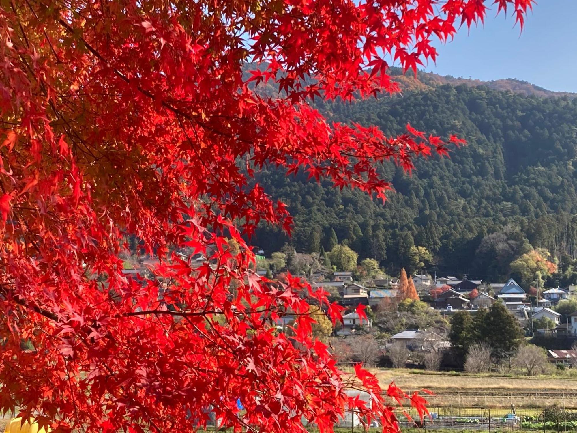 Ryoso Chatani Kyoto Eksteriør billede