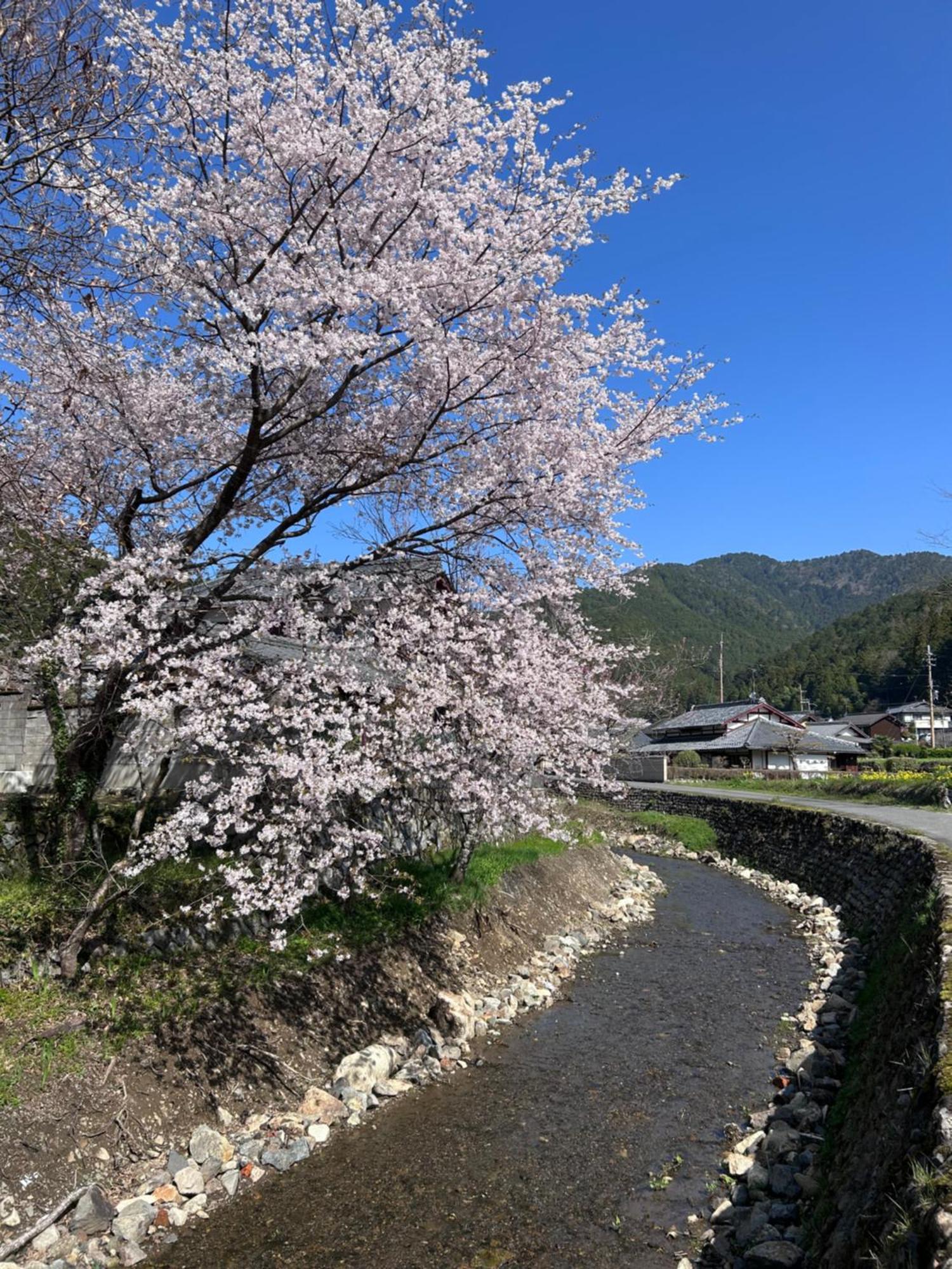 Ryoso Chatani Kyoto Eksteriør billede